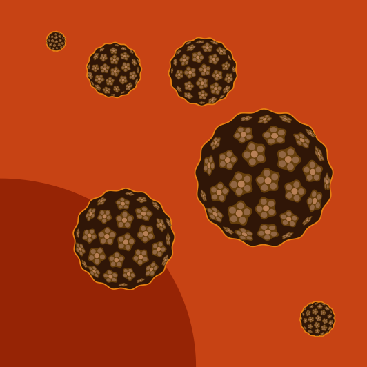 HUMAN I PAPILOMA VIRUS (HPV)